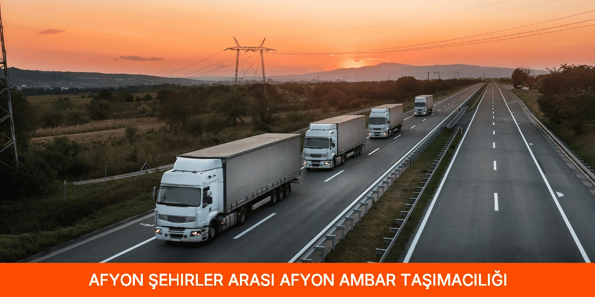 Şehirler Arası Afyon Ambar Taşımacılığı